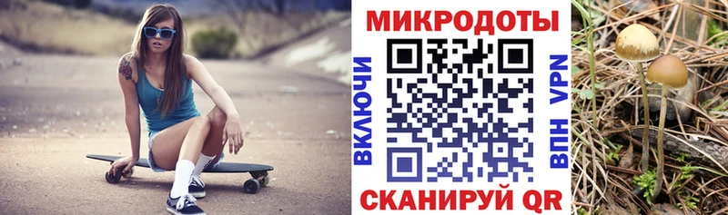 Псилоцибиновые грибы Psilocybine cubensis  Губаха 